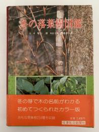 冬の落葉樹図鑑