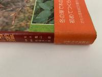 冬の落葉樹図鑑