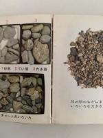 新採集図鑑　岩石・鉱物