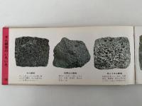 新採集図鑑　岩石・鉱物