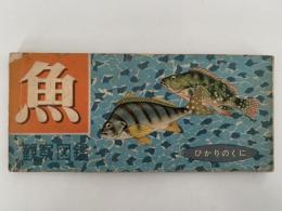 観察図鑑　魚