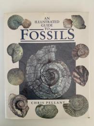 AN ILLUSTRATED GUIDE TO FOSSILS （化石）