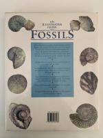 AN ILLUSTRATED GUIDE TO FOSSILS （化石）