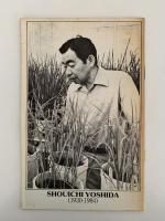 IN MEMORIAM　SHOUICHI YOSHIDA