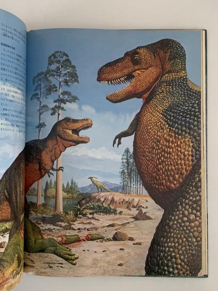 ☆絶版 大判 洋書 絵本 Dragon Land/ヴィンテージ 恐竜ドワーフ妖精