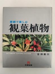 家庭で楽しむ観葉植物