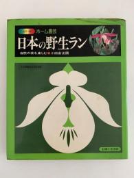 日本の野生ラン