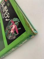日本の野生ラン