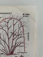 庭木・花木の整姿剪定　家庭園芸シリーズ
