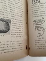 科学ブック　第１０号　どうぶつの くらし