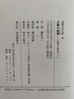 太陽の絵筆　熱情の画家ゴッホ　岩崎少年文庫20