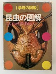 昆虫の図鑑　学研の図鑑
