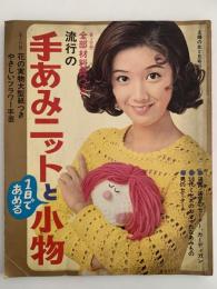 流行の手あみニットと１日であめる小物　主婦の友付録
