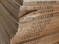 アルプ　創刊号〜299号　(200号、225号、300号(終刊号)欠）