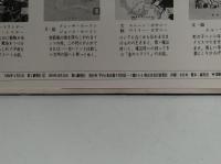 金のニワトリ　岩波の子どもの本