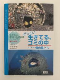 どっこい生きてる、ゴミの中　たくましい海の魚たち