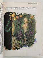 BIBLE STORIES （聖書物語）