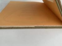 The Improbable Book of Records （ありえない記録の本）