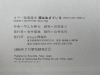 猫は生きている　