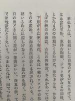 日本の工芸１　染