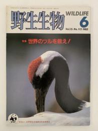 野生動物　WILDLIFE　1985年6月号　特集：世界のツルを救え！