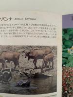 名護自然動植物公園　ヤンバル ワイルド ライフパーク　ガイドブック