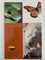 BROOKFIELD ZOO'S　RARE BEAUTIES（ブルックフィールド動物園　希少な美しさ）