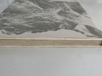 アピ遠征報告書　1971