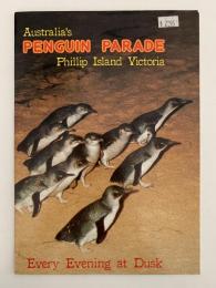 Australia's PENGUIN PARADE　Phillip Island Victoria（オーストラリアのペンギンパレード　ビクトリア州フィリップアイランド）