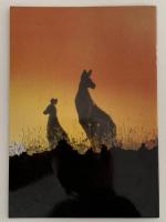 Australia's KANGAROOS（オーストラリアのカンガルー）