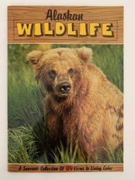 Alaskan WILDLIFE（アラスカの野生動物）
