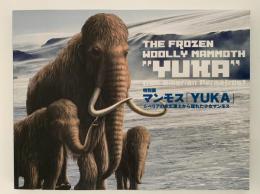 特別展　マンモス「YUKA」シベリアの永久凍土から現れた少女マンモス　図録