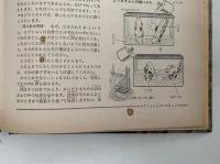 昆虫の生態図鑑　学習図鑑シリーズ28