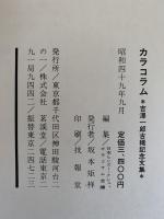カラコラム　吉澤一郎古稀記念文集