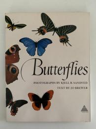 Butterflies（蝶）