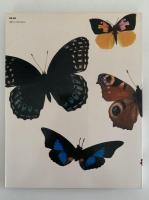 Butterflies（蝶）