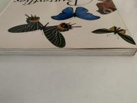 Butterflies（蝶）