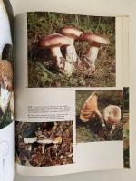 Color Treasury of MUSHROOMS & TOADSTOOLS （キノコと毒キノコ）
