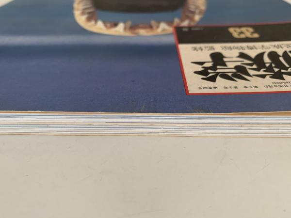 Amazon.co.jp: B63-037 国立民族学博物館 監修 季刊 民族学 31
