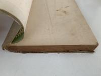 デカダン作家行状記　作家鶴見佐太郎の特異な行状に関するノート８話