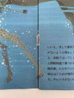 セーフティー２＆４　No.87