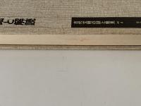 発掘と解読　古代文明の謎と発見７