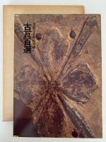 常楽寺美術館所蔵　古瓦百選　
