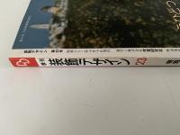 季刊　装飾デザイン　23　特別企画：インドネシアの花更紗