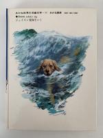 ジェイスン荒海をいく　あかね世界の児童文学11