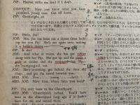 大いなる遺産　英國映画英和対訳叢書