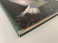 THE BIRDS（鳥類）LIFE　NATURE LIBRARY
