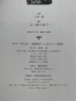 古い扉の前で