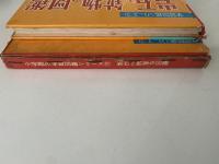 岩石と鉱物の図鑑　学習図鑑シリーズ21
