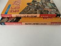 岩石と鉱物の図鑑　学習図鑑シリーズ21
